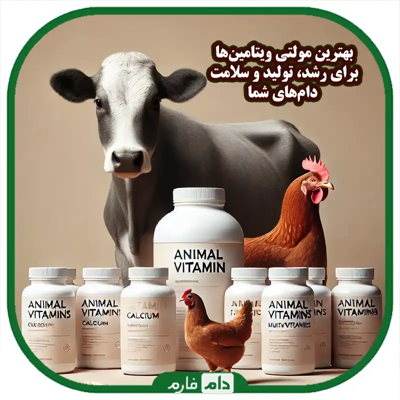 انواع_مولتی_ویتامین_دامی_:_انتخاب_بهترین_مکمل_برای_دام_و_طیور