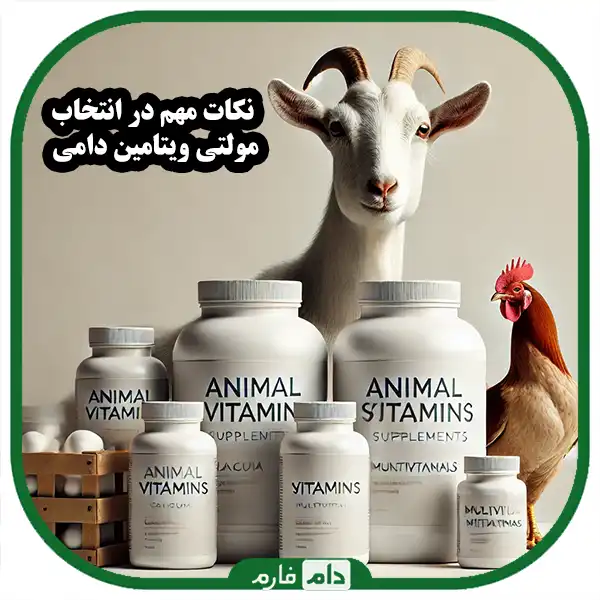 All-kinds-of-animal-multivitamins:-choosing-the-best-supplement-for-livestock-and-poultry