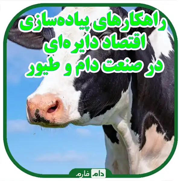 economy-in-the-livestock-and-poultry-industry:-reducing-waste-and-consuming-resCircular-ources