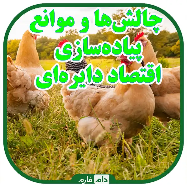 economy-in-the-livestock-and-poultry-industry:-reducing-waste-and-consuming-resCircular-ources