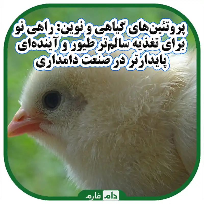 جایگزین‌های_گیاهی_و_جایگزین‌های_نوین_در_خوراک_طیور