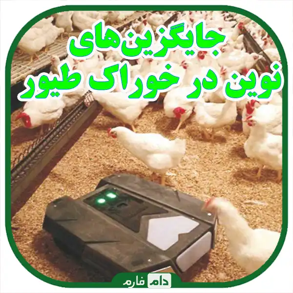 Plant-substitutes-and-new-substitutes-in-poultry-feed