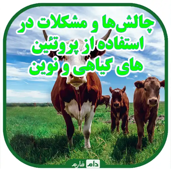 Plant-substitutes-and-new-substitutes-in-poultry-feed