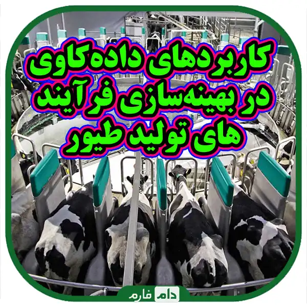 The-application-of-data-mining-in-the-optimization-of-poultry-production-processes