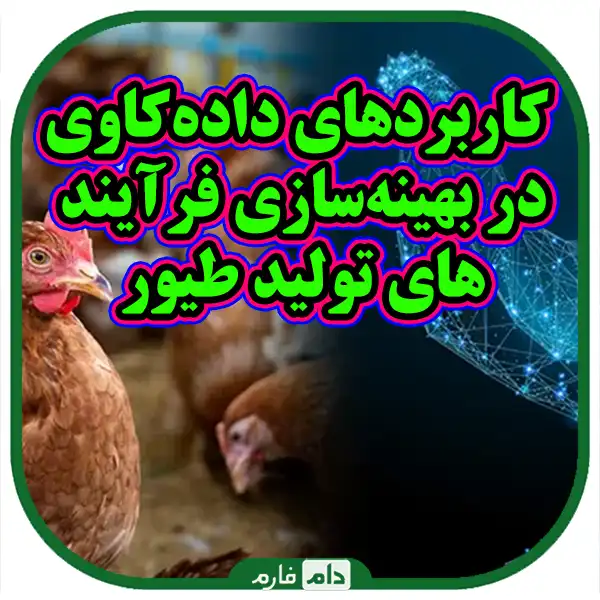 The-application-of-data-mining-in-the-optimization-of-poultry-production-processes