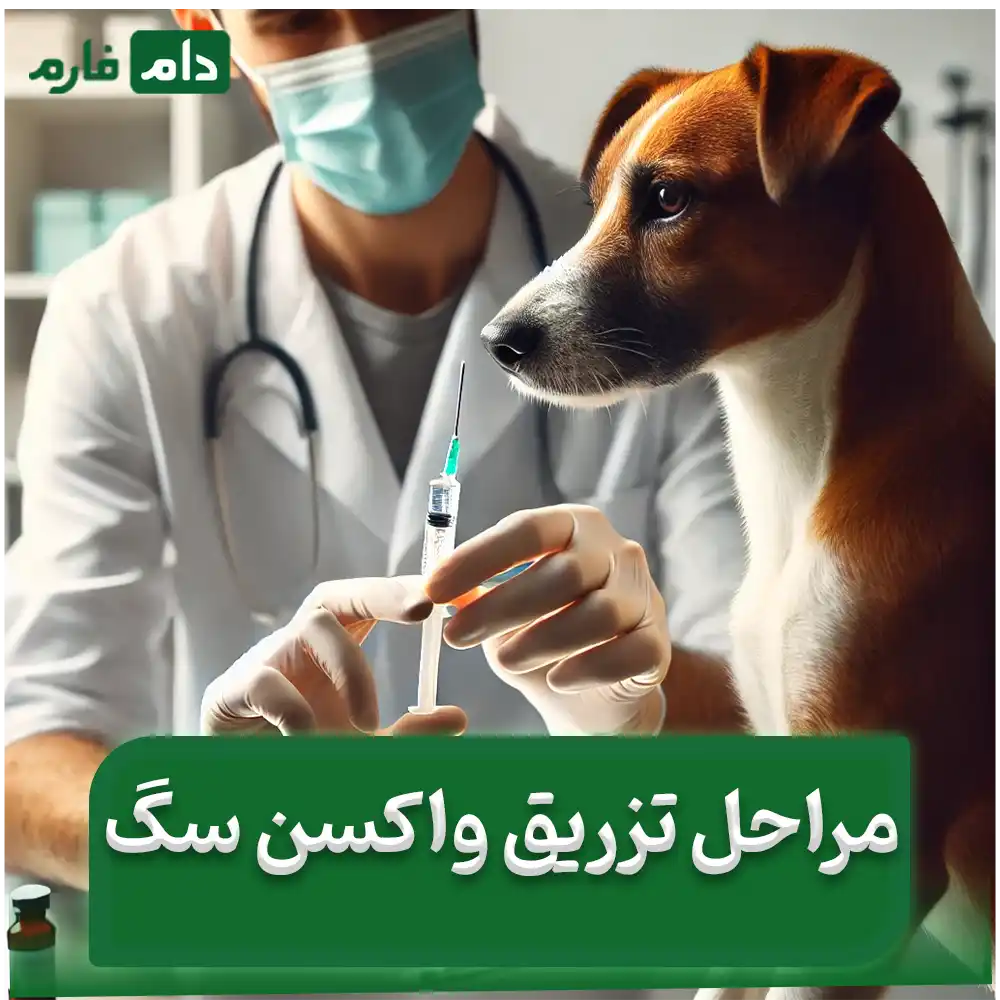 How-to-vaccinate-a-dog