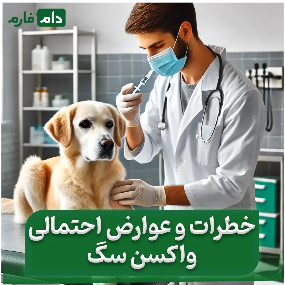 How-to-vaccinate-a-dog