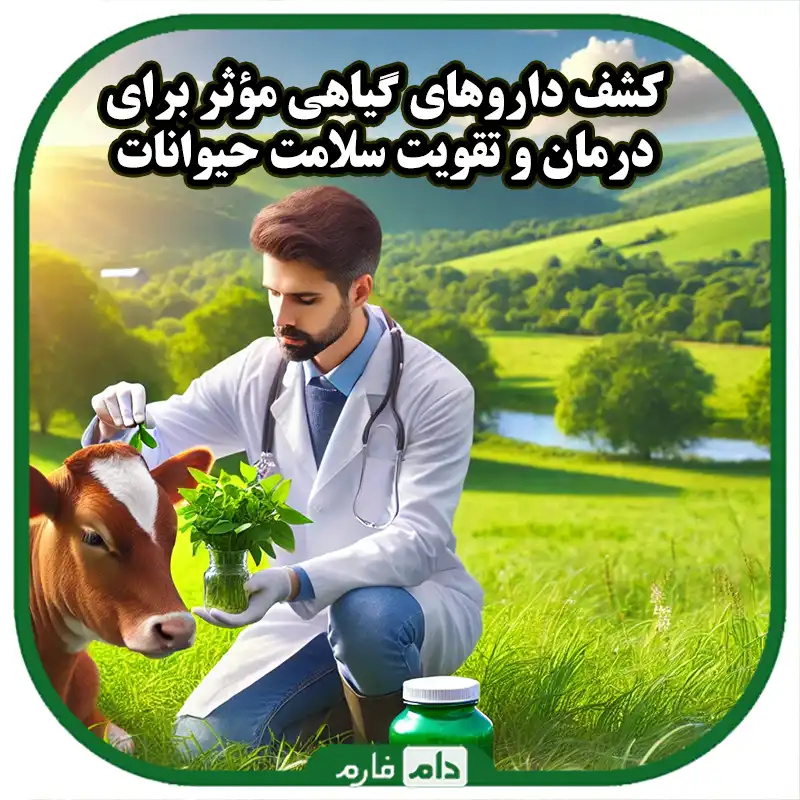 داروهای_گیاهی_دامپزشکی__درمان‌های_طبیعی_برای_حیوانات