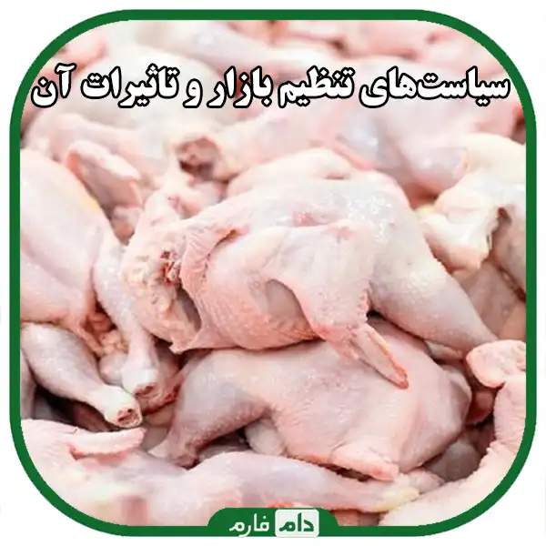 Investigating-the-day-old-chicken-market-in-Iran