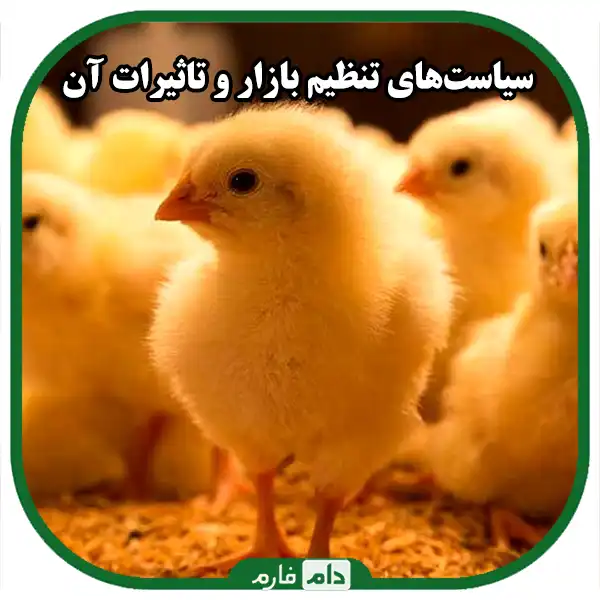 Investigating-the-day-old-chicken-market-in-Iran