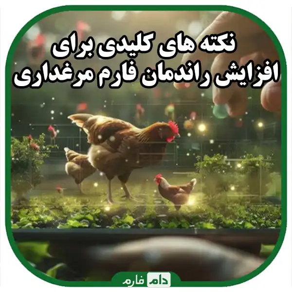 Poultry-Success:-Key-Techniques-to-Increase-Production-and-Reduce-Costs