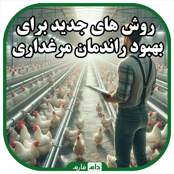 Poultry-Success:-Key-Techniques-to-Increase-Production-and-Reduce-Costs