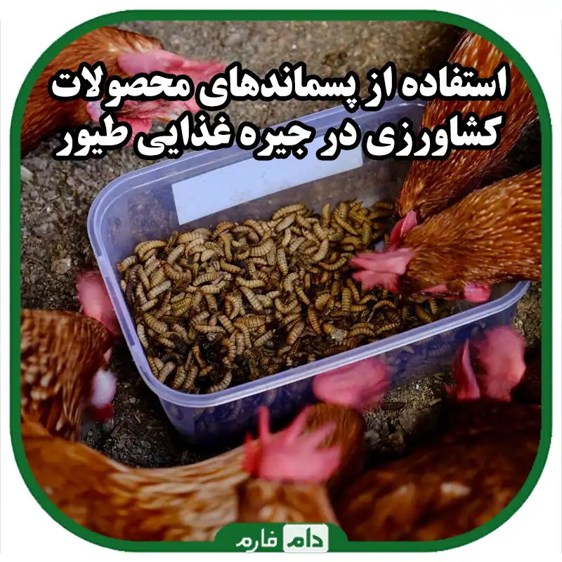 استفاده_از_پسماندهای_محصولات_کشاورزی_در_جیره_غذایی_طیور_