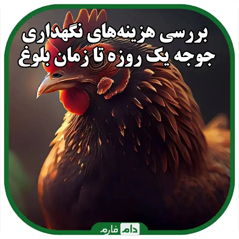 بررسی_هزینه‌های_نگهداری_جوجه_یک_روزه_تا_زمان_بلوغ