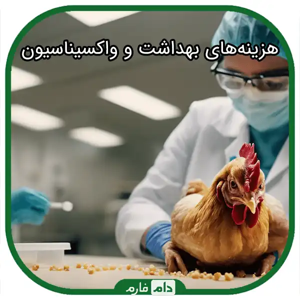 Investigating-the-costs-of-keeping-one-day-old-chicks-until-maturity