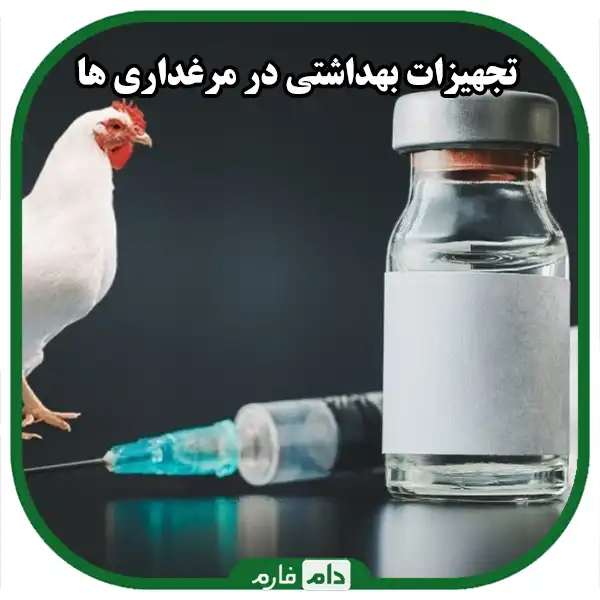 Investigating-the-costs-of-keeping-one-day-old-chicks-until-maturity