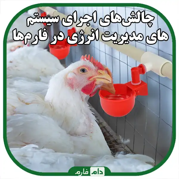 :-Management-of-energy-consumption-in-day-old-chicken-breeding-farms;-A-solution-to-reduce-costs-and-protect-the-environment
