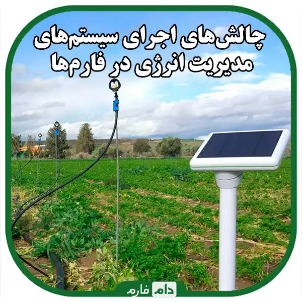 :-Management-of-energy-consumption-in-day-old-chicken-breeding-farms;-A-solution-to-reduce-costs-and-protect-the-environment