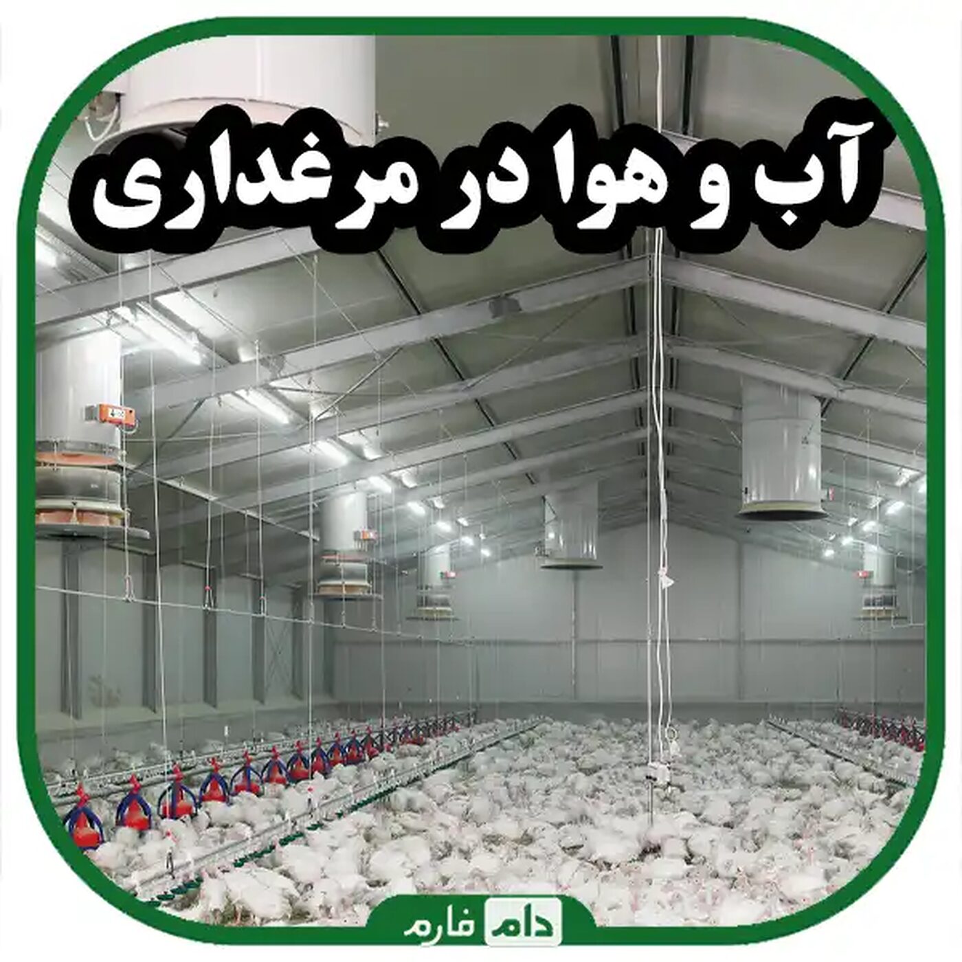 آب_و_هوا_در_سالن_های_مرغداری