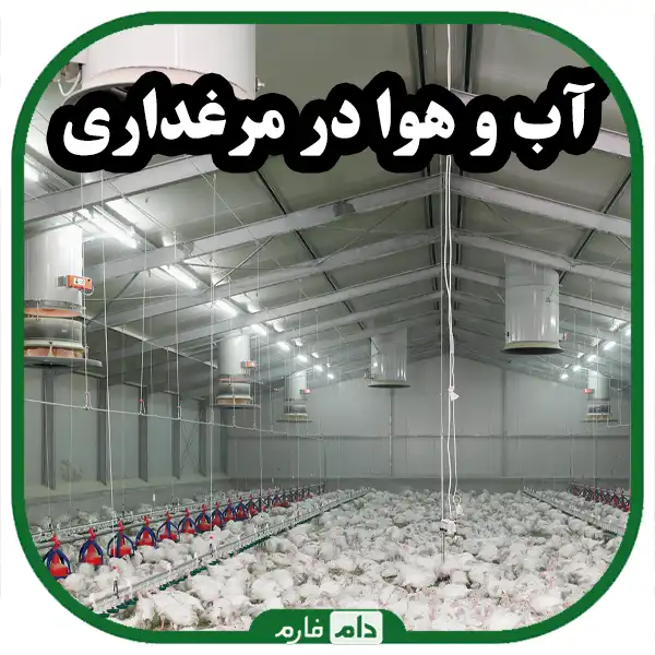 آب_و_هوا_در_سالن_های_مرغداری