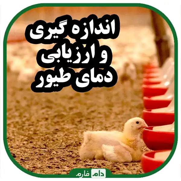 Weather-in-poultry-farm