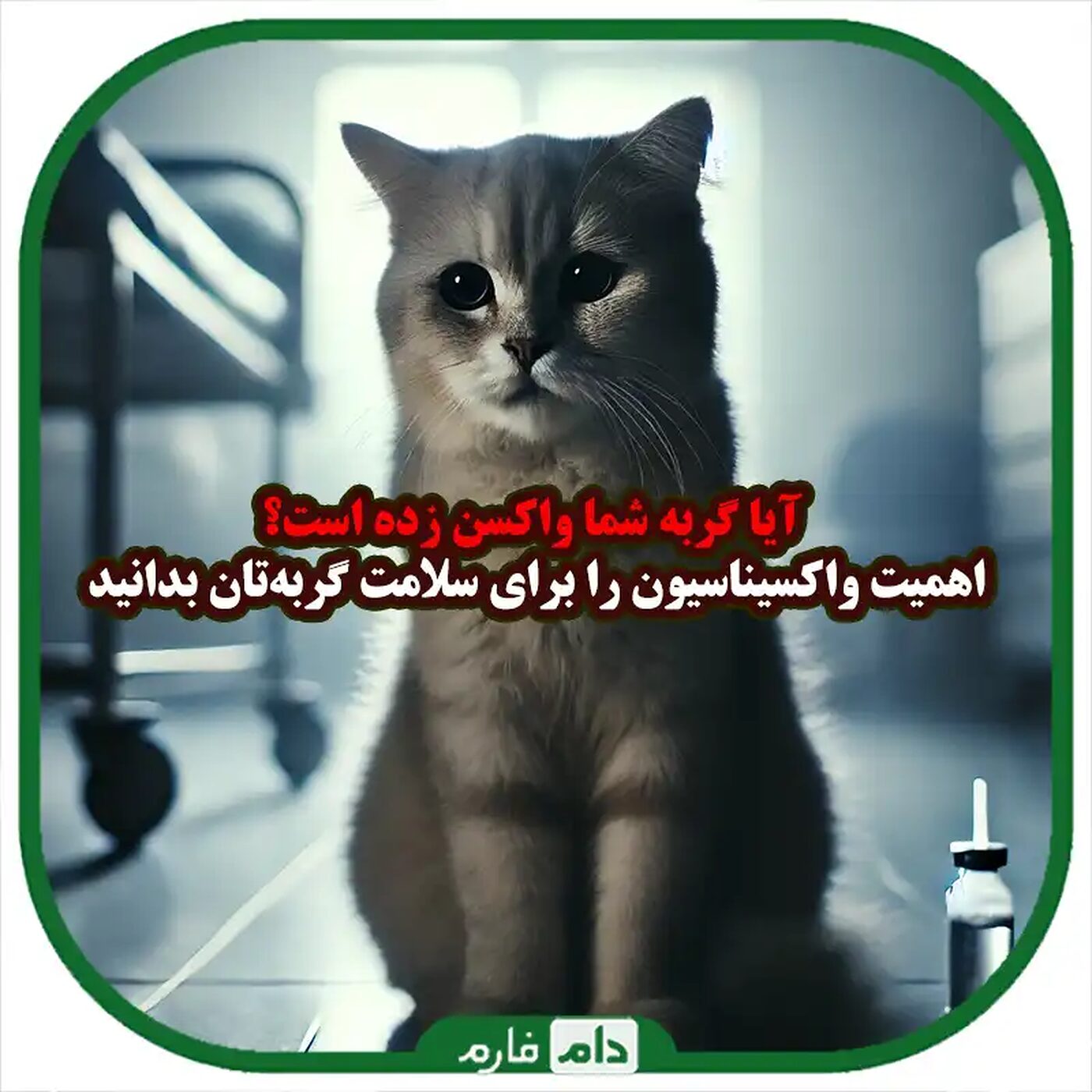 عوارض_نزدن_واکسن_گربه_:_همه_آنچه_باید_بدانید_برای_سلامتی_حیوان_خانگی_شما