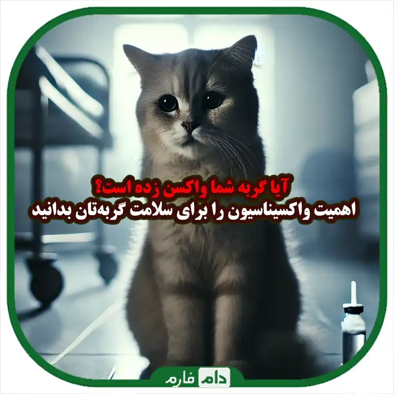 عوارض_نزدن_واکسن_گربه_:_همه_آنچه_باید_بدانید_برای_سلامتی_حیوان_خانگی_شما