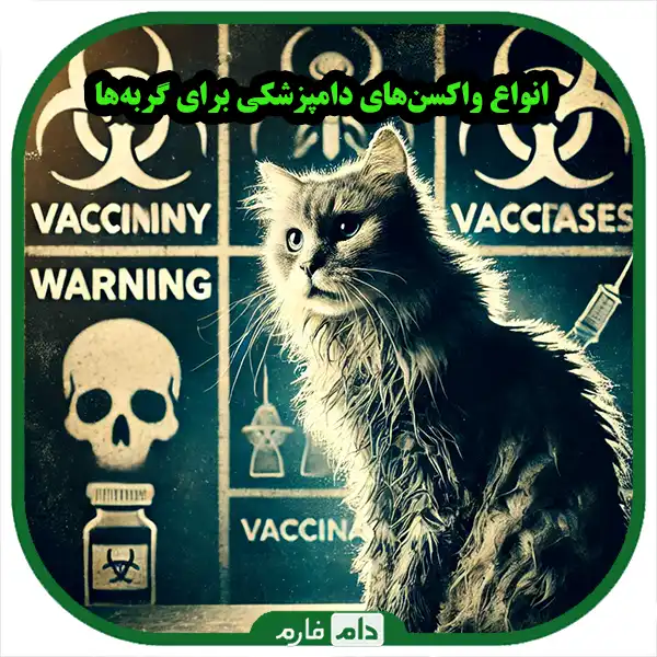 Complications-of-not-vaccinating-cats:-everything-you-need-to-know-for-your-pet's-health