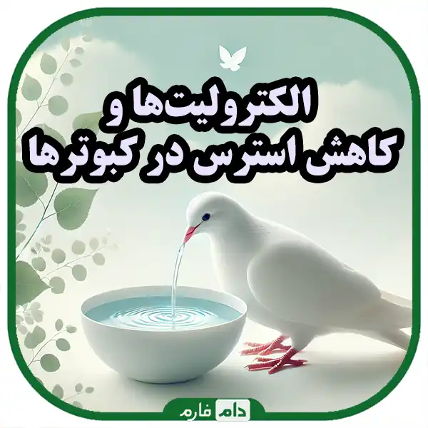 Flying-to-peak-health-The-surprising-effect-of-electrolytes-on-the-pigeon-body