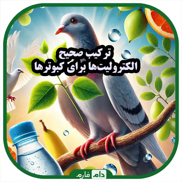 Flying-to-peak-health-The-surprising-effect-of-electrolytes-on-the-pigeon-body