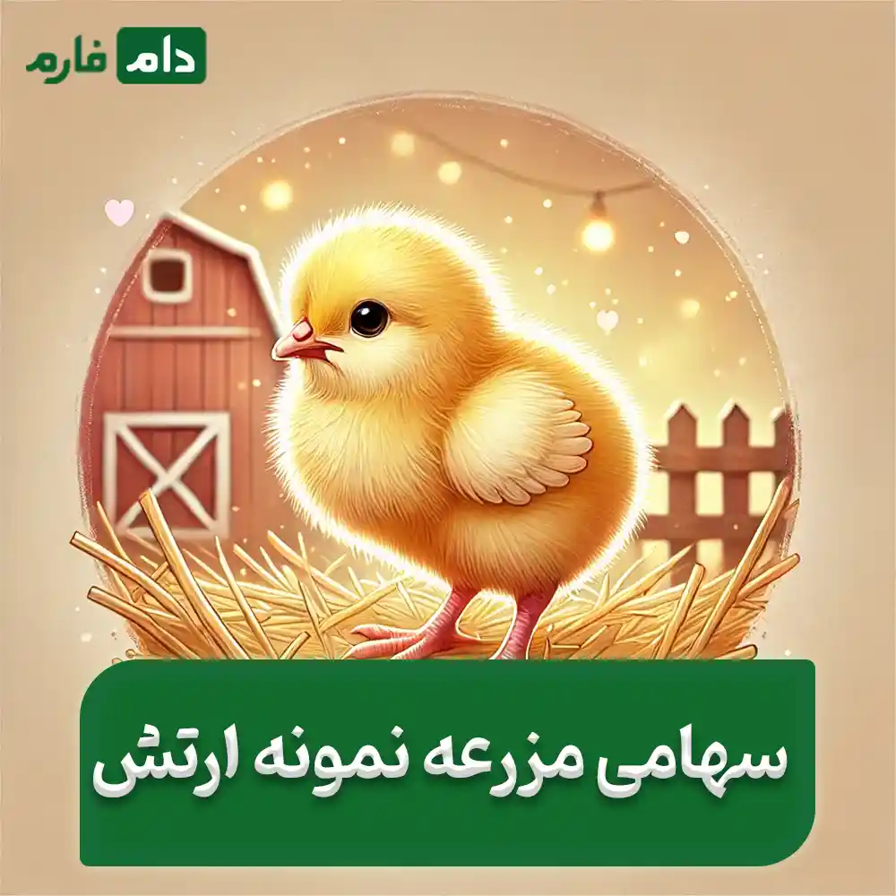 فروش_جوجه_یک_روزه_سهامی_مزرعه_نمونه_ارتش_09190088057