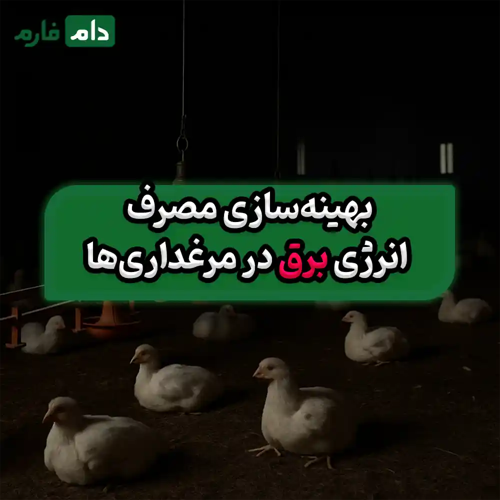 Electrical-problem-in-the-poultry-farm