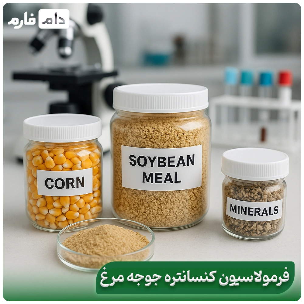 Chicken-concentrate-|-Benefits-of-chicken-concentrate-for-fast-and-healthy-growth