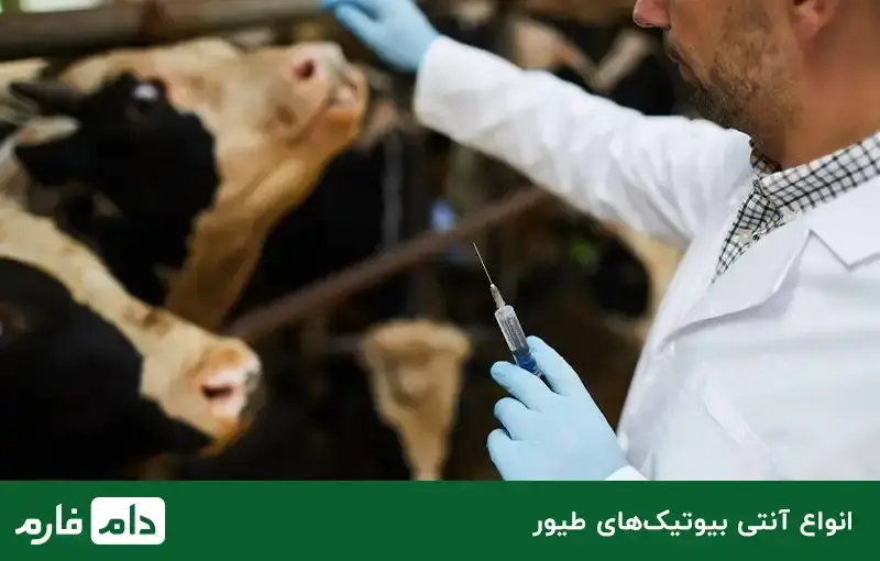 Necessary-poultry-medicines-for-breeding-birds