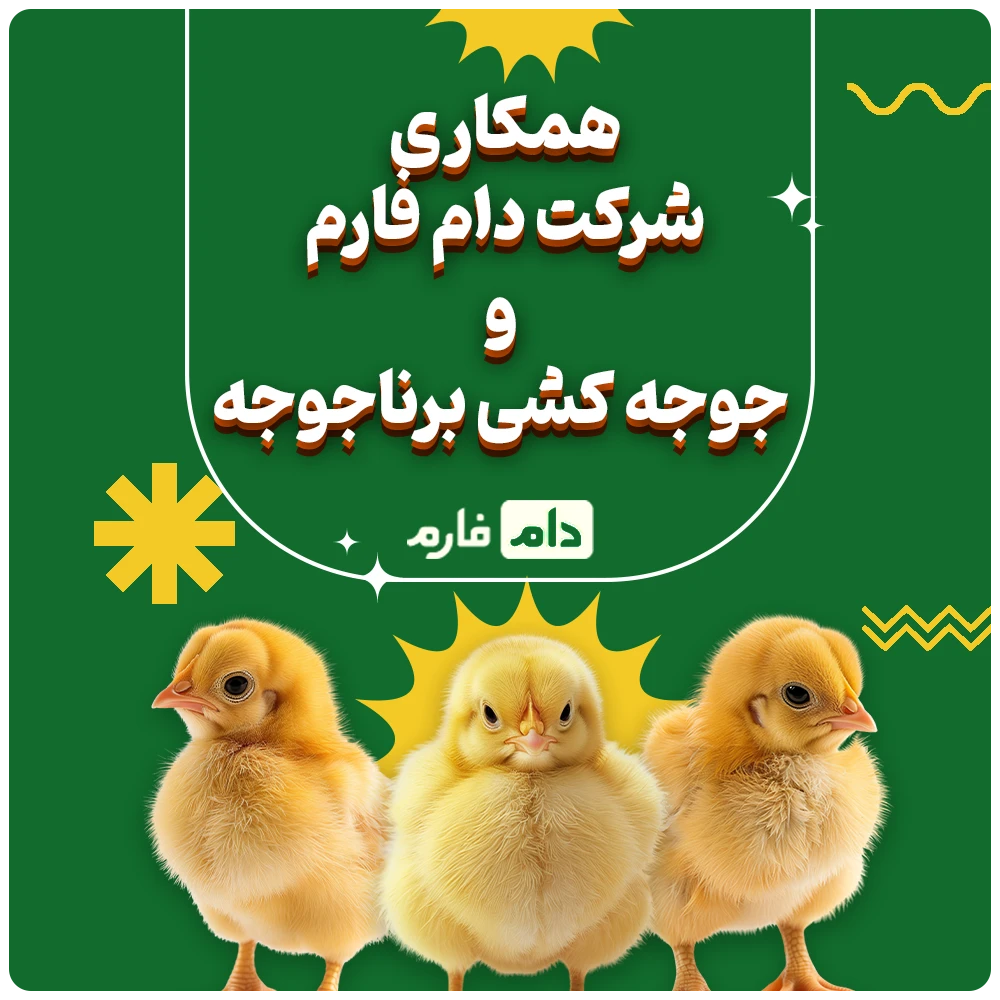 Barnajujah-Incubation-Company