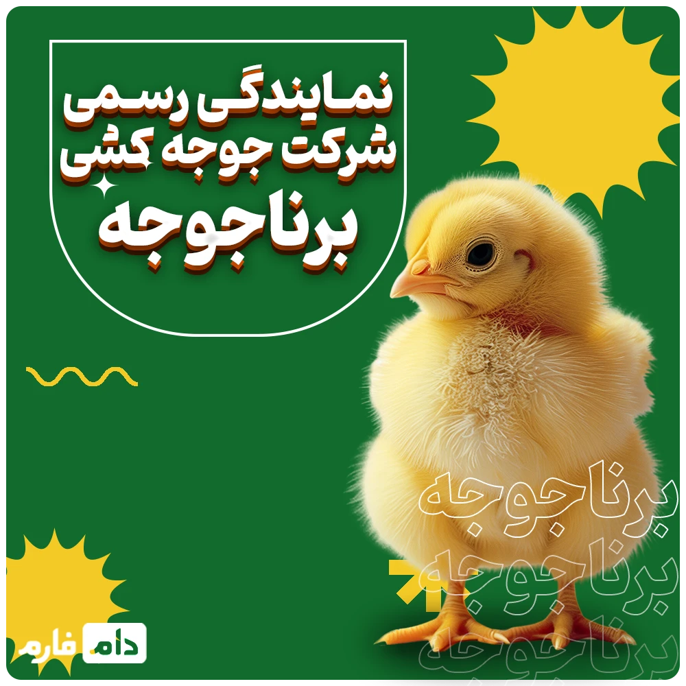 Barnajujah-Incubation-Company