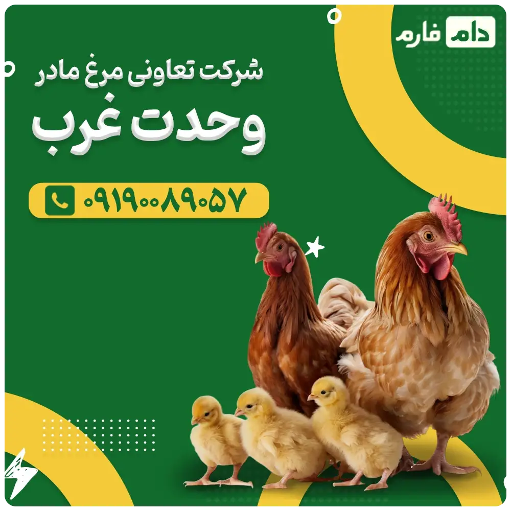 شرکت_تعاونی_مرغ_مادر_وحدت_غرب09190089057