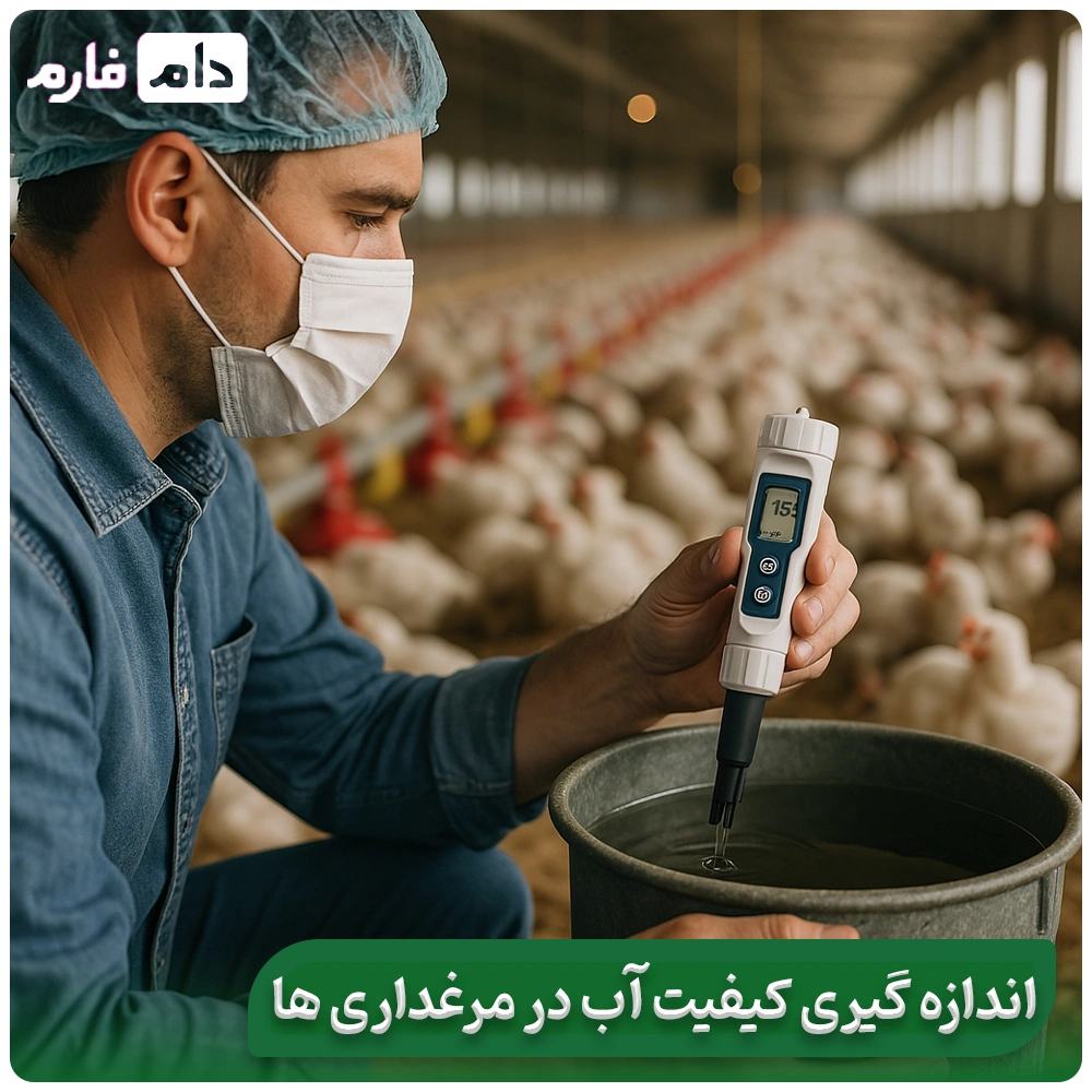 A-complete-review-of-water-problems-in-poultry-farming-and-their-impact-on-flock-health