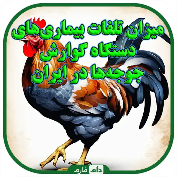 Getting-to-know-the-most-important-diseases-of-chickens-and-water-systems