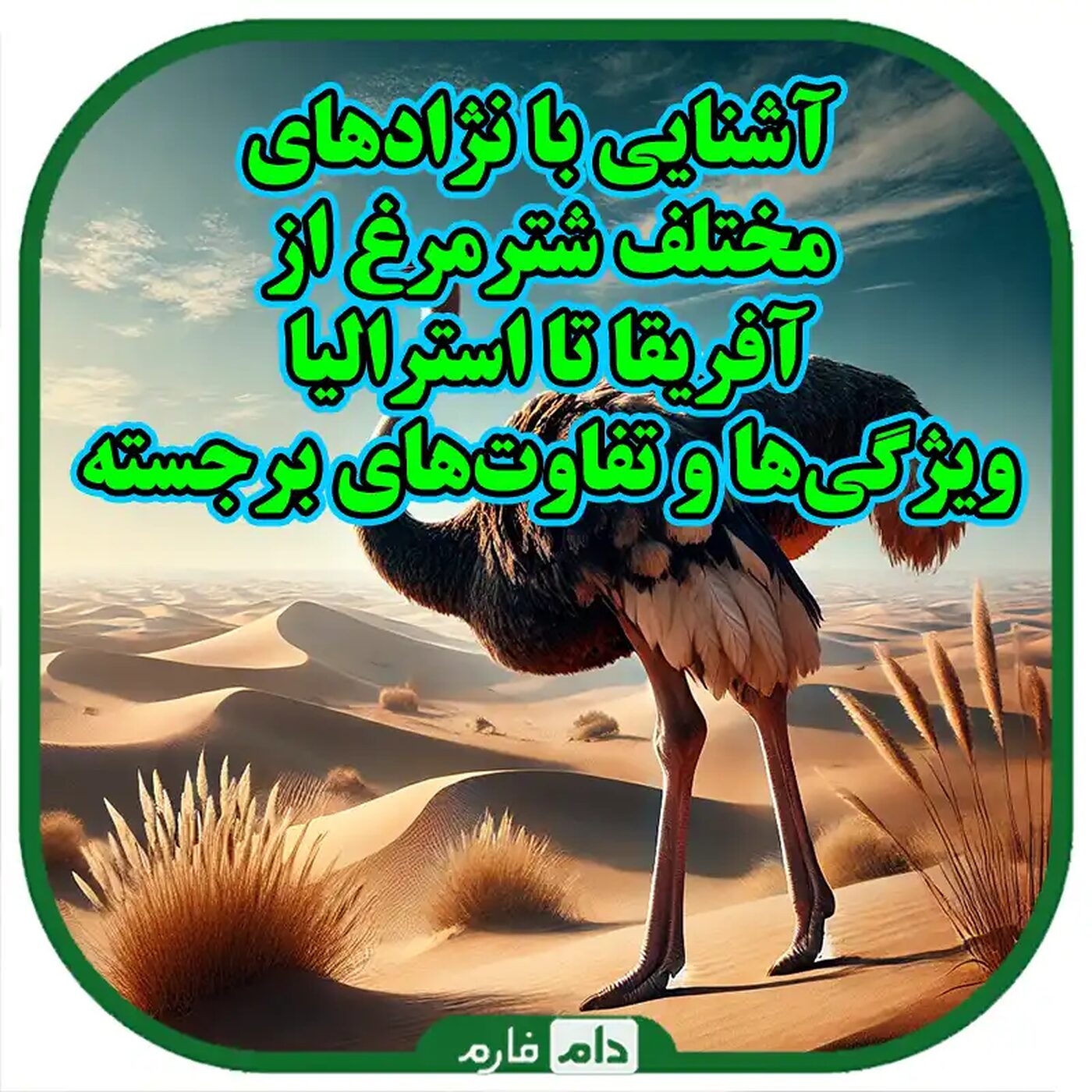آشنایی_با_انواع_نژادهای_شترمرغ_ایرانی_و_راهنمای_جامع_پرورش_آن‌ها
