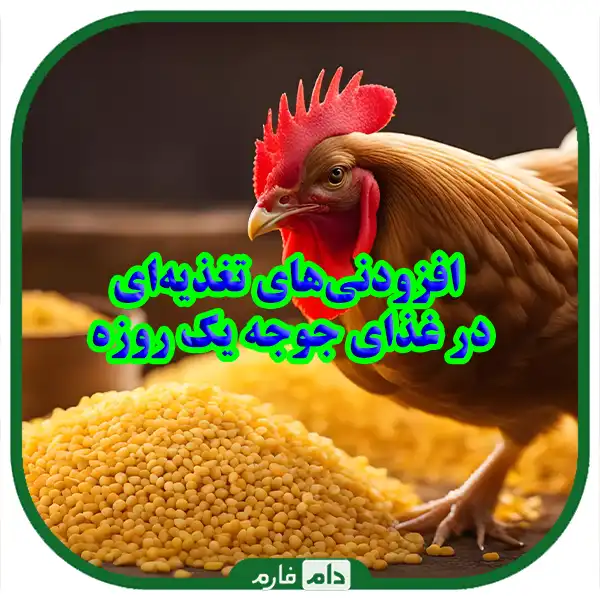 Tips-for-raising-day-old-chicks