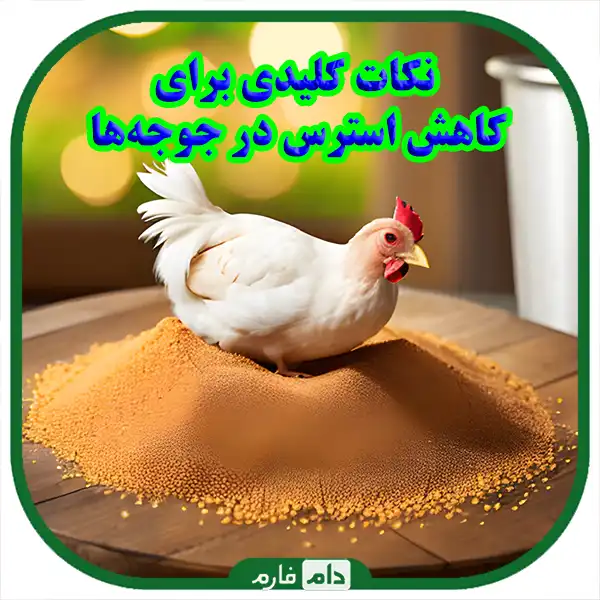 Tips-for-raising-day-old-chicks