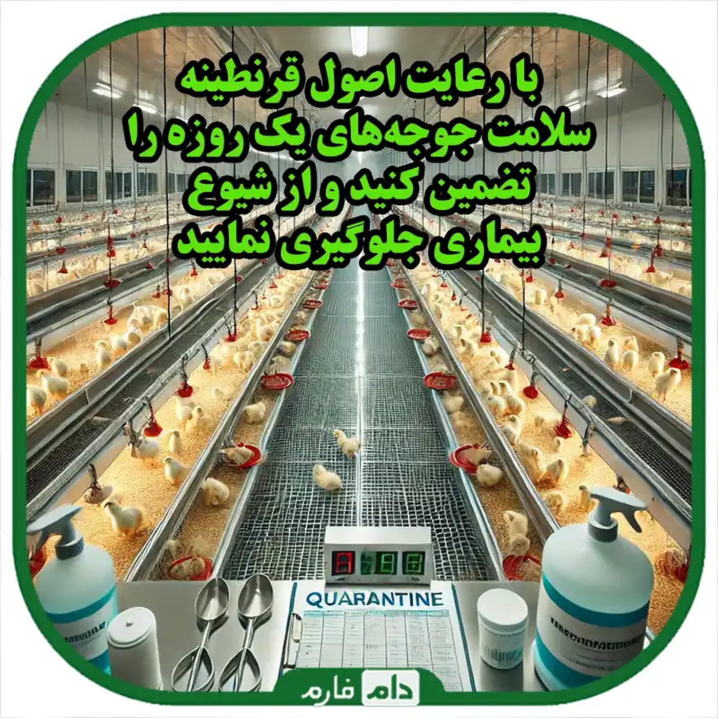 نحوه_قرنطینه_جوجه_یک_روزه_بیمار_و_جلوگیری_از_انتقال_بیماری