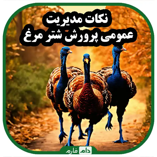 General-principles-of-ostrich-breeding