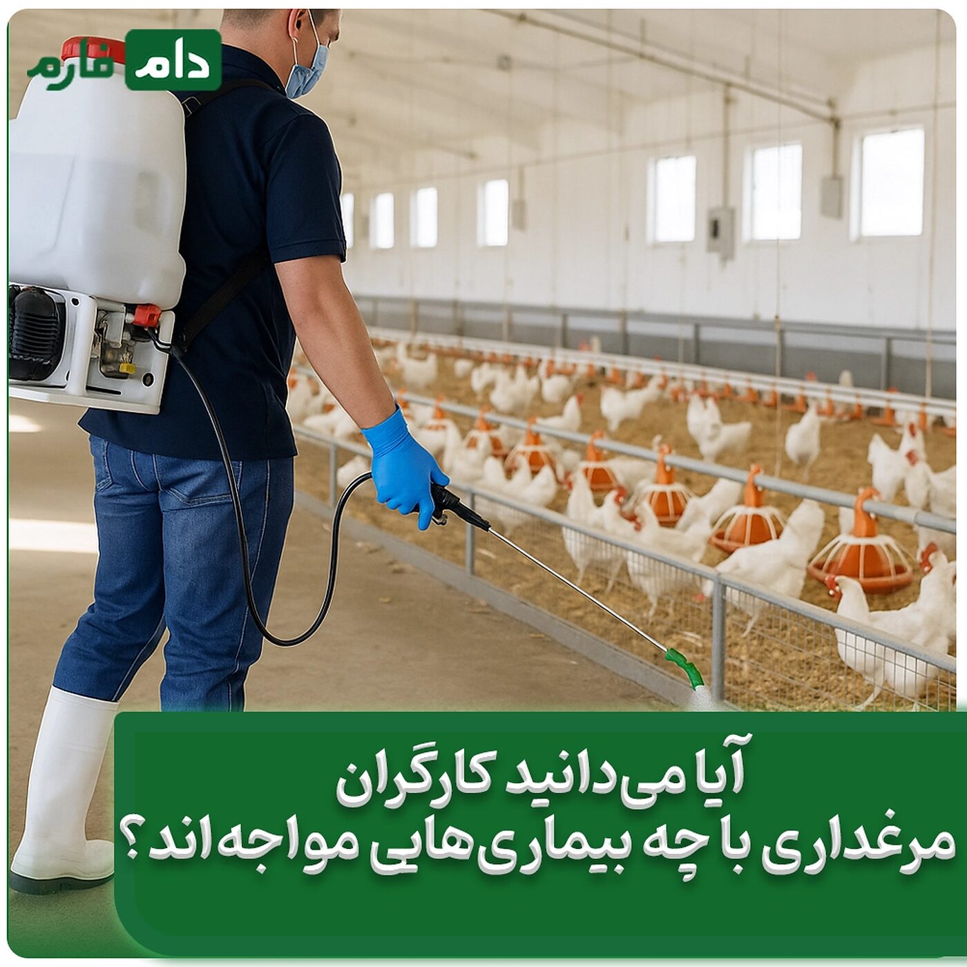 مشکلات_شغلی_در_مرغداری؛_هشدار_جدی_برای_کارگران