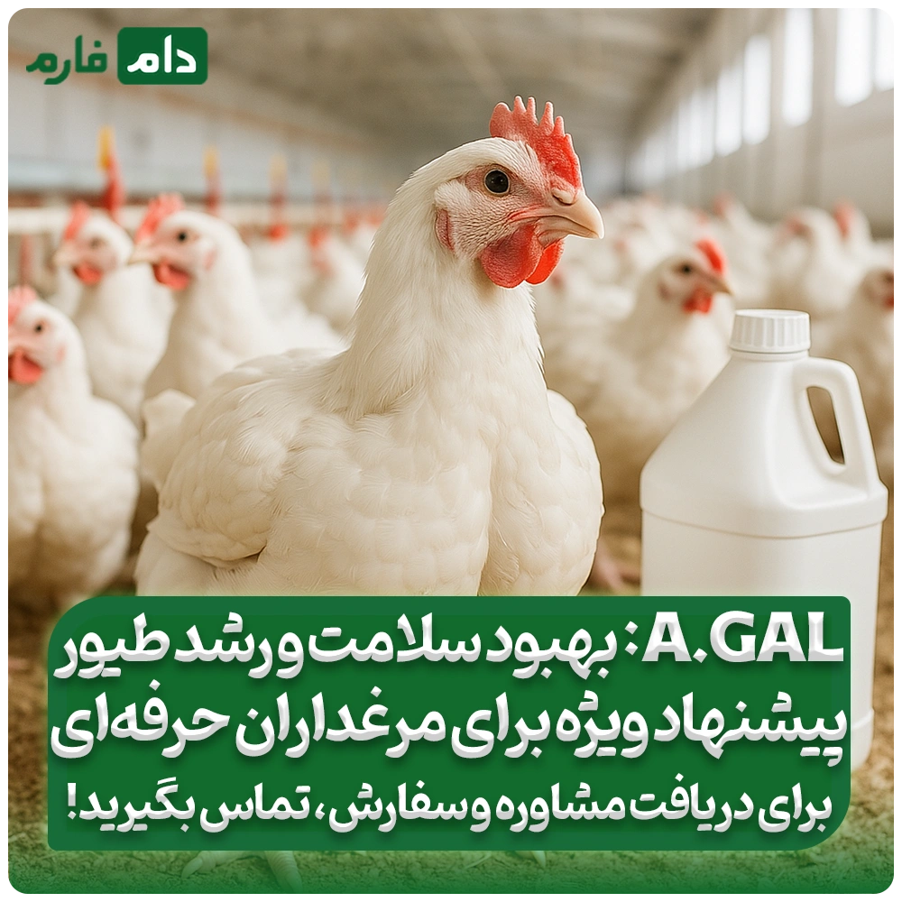 آنزیم_آلفا_گالاکتوزیداز_(A.Gal)_برای_تغذیه_طیور
