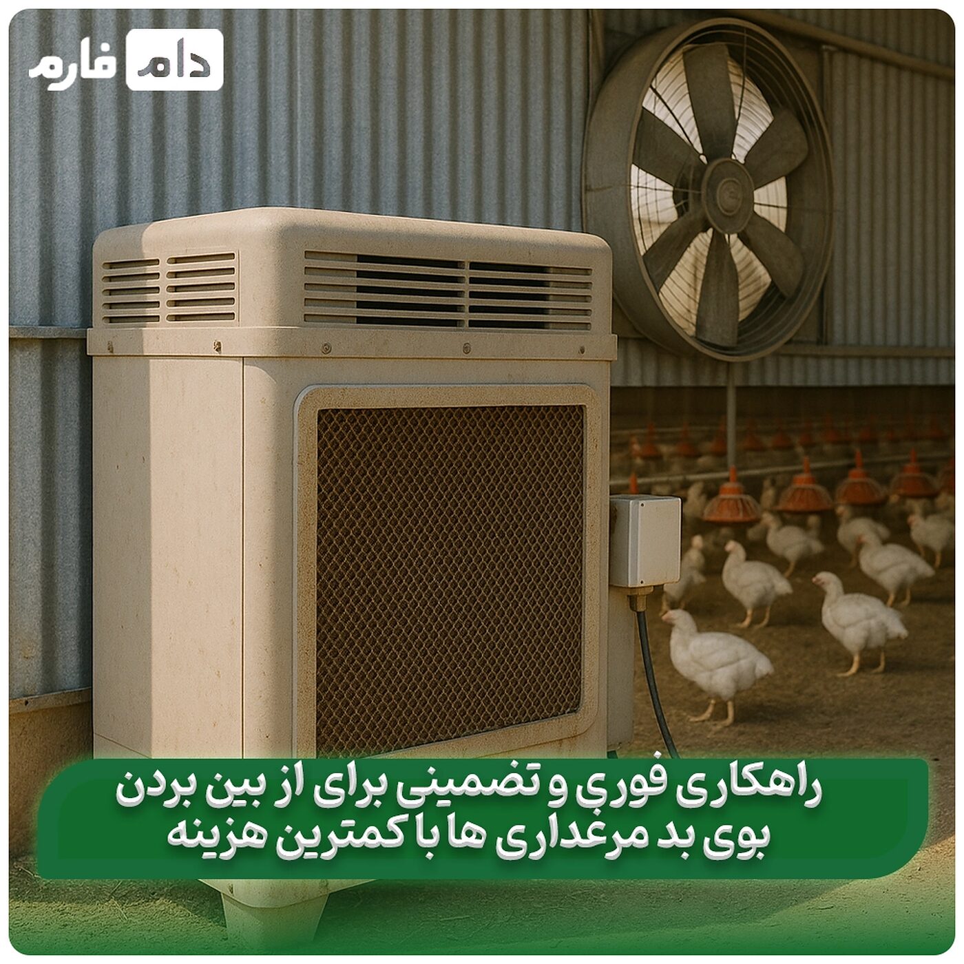 4_روش_سریع_برای_رفع_بوی_بد_مرغداری_با_کمترین_هزینه