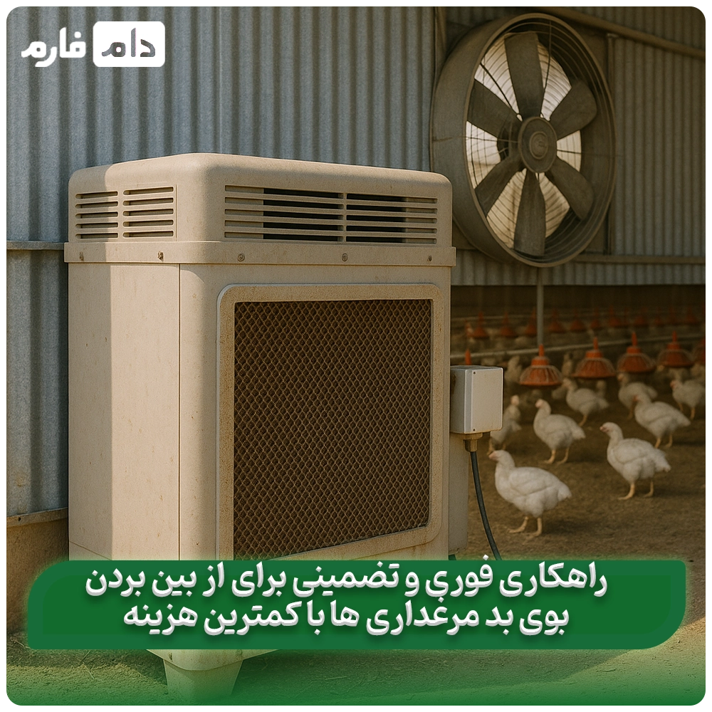 4_روش_سریع_برای_رفع_بوی_بد_مرغداری_با_کمترین_هزینه