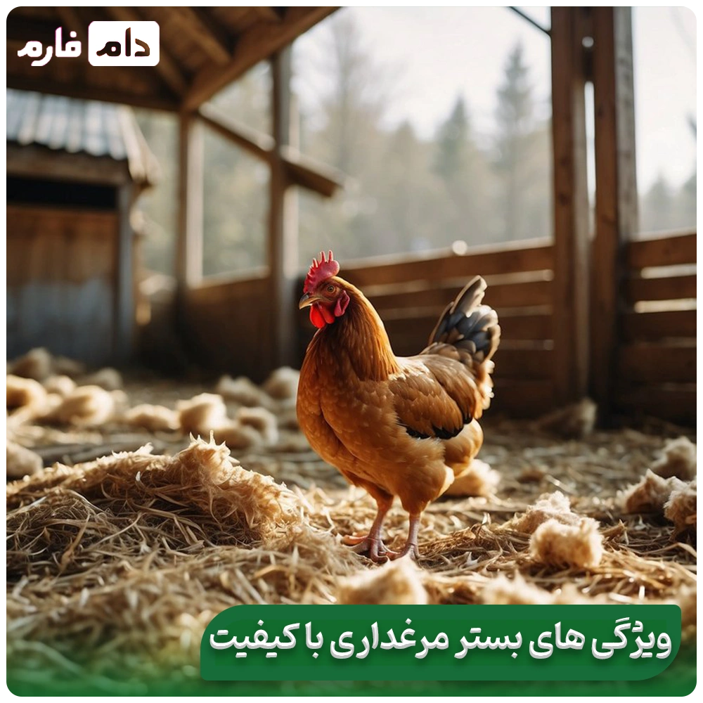 Litter-quality-in-the-performance-of-broiler-chickens