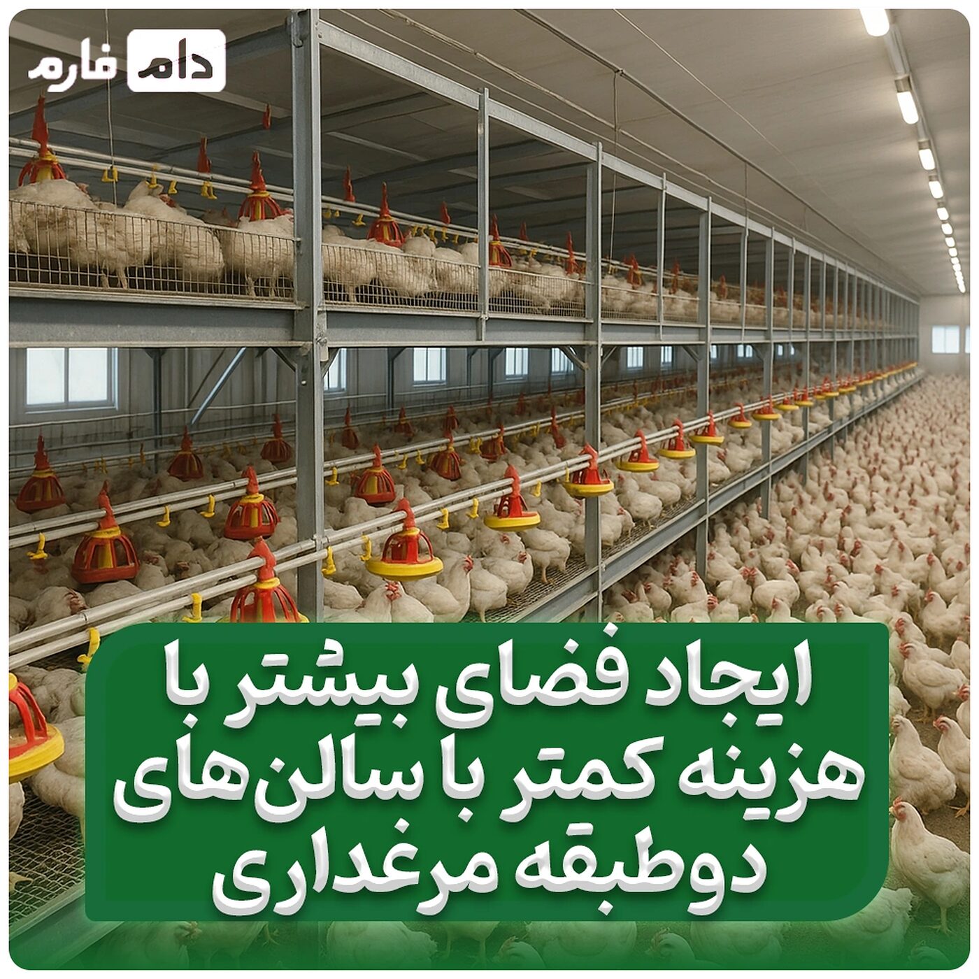 بررسی_جامع_مزایا_و_معایب_سالن‌های_مرغداری_دو_طبقه